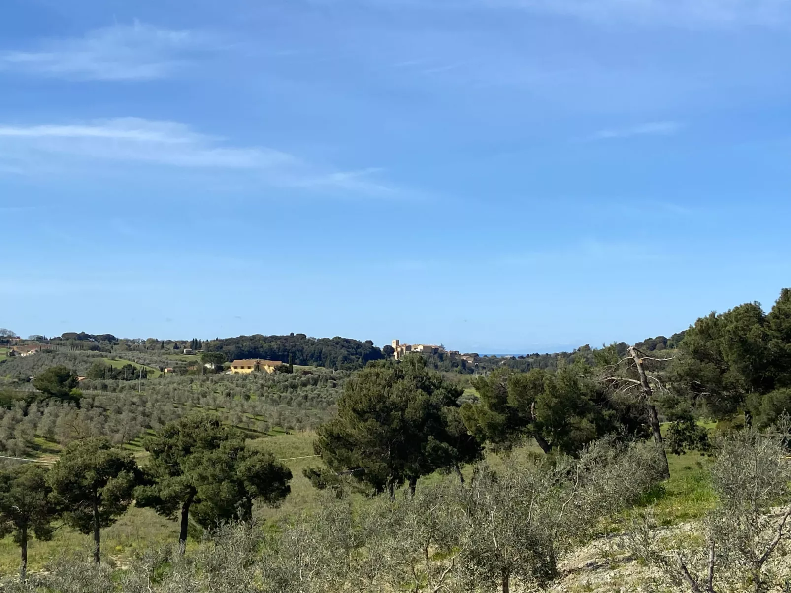 Il Fienile-Buiten