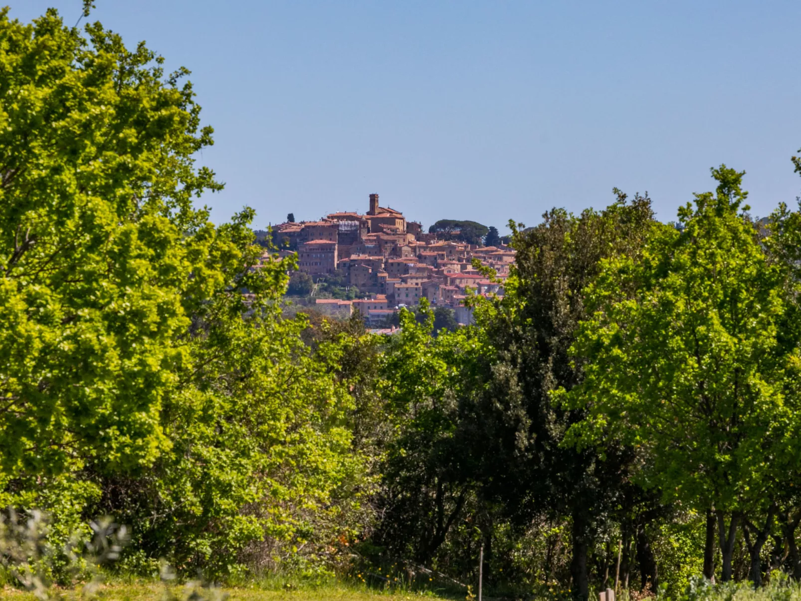 Tramontana-Buiten