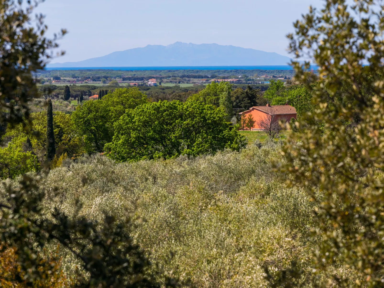 Tramontana-Buiten