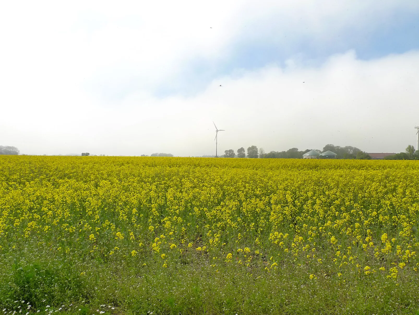 Norderney-Buiten