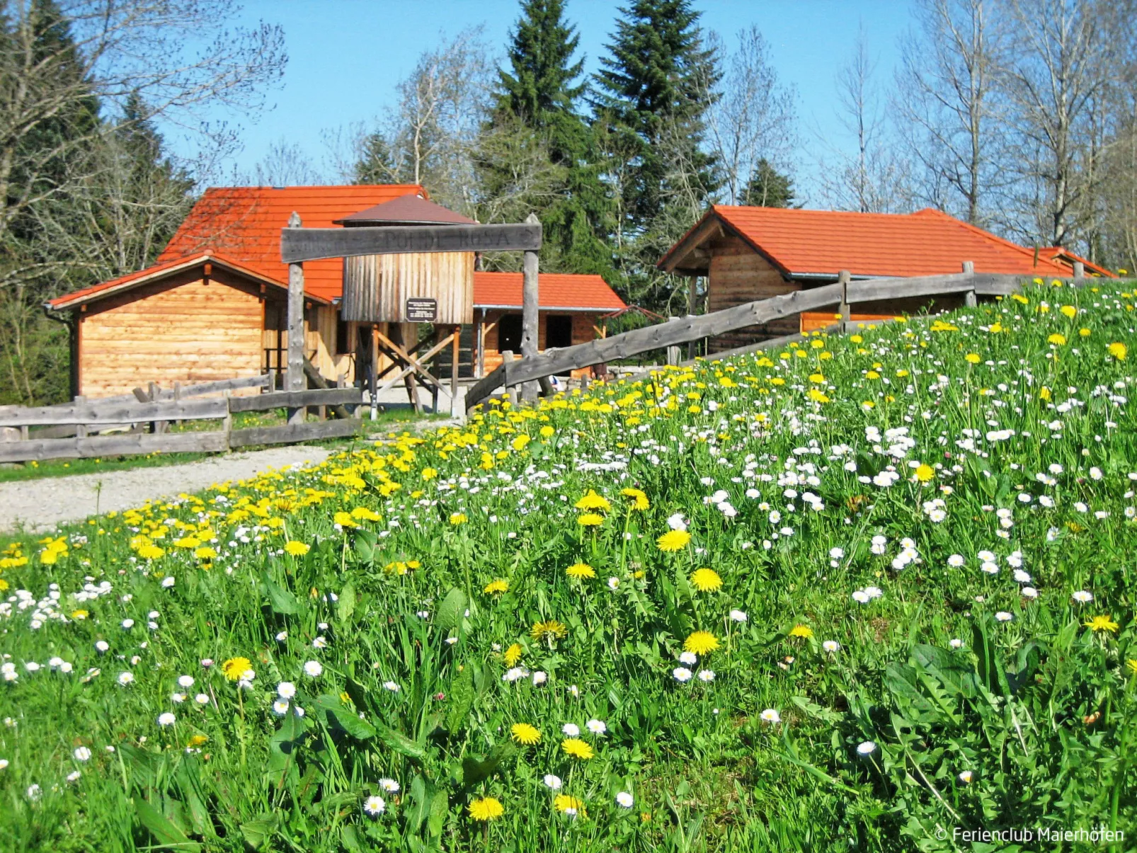 Edelweiß-Buiten