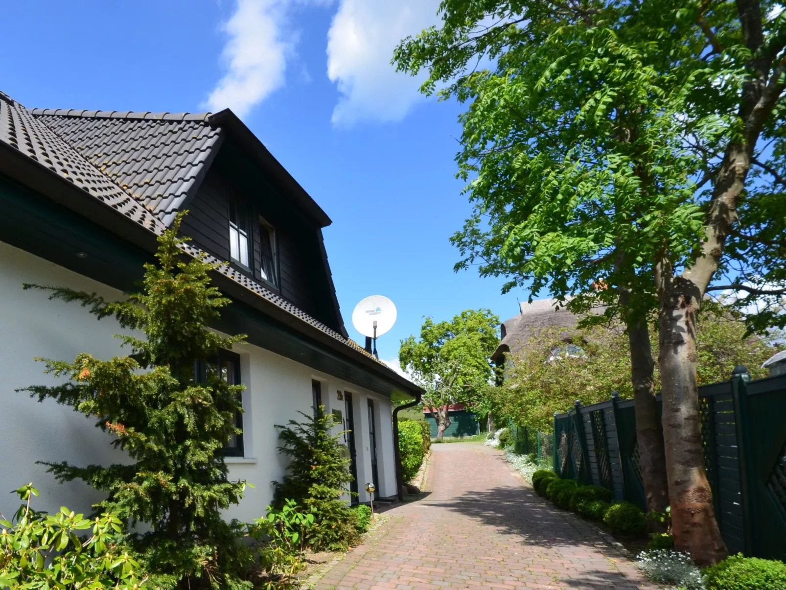 Seeadler-Buiten