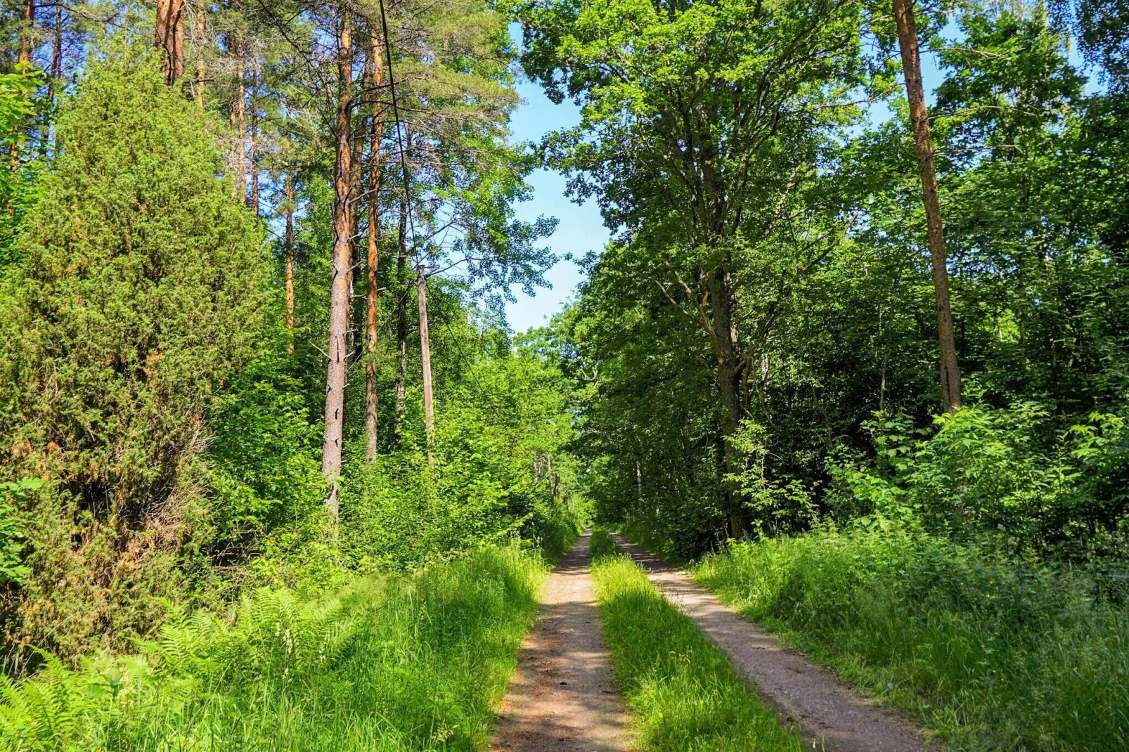 7 persoons vakantie huis in ODENSBACKEN-Niet-getagd