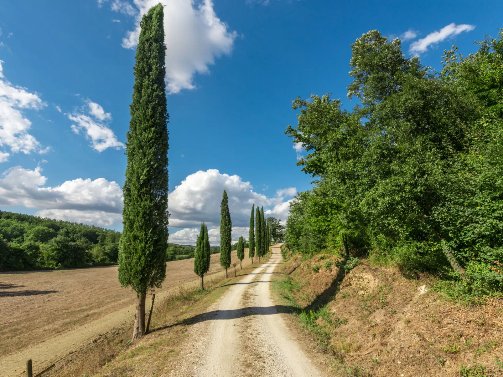 Casale Poggio Lupinaio-Buiten