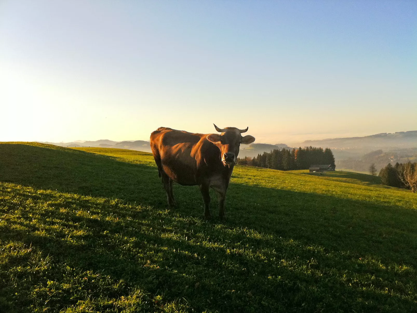 Panoramablick-Buiten