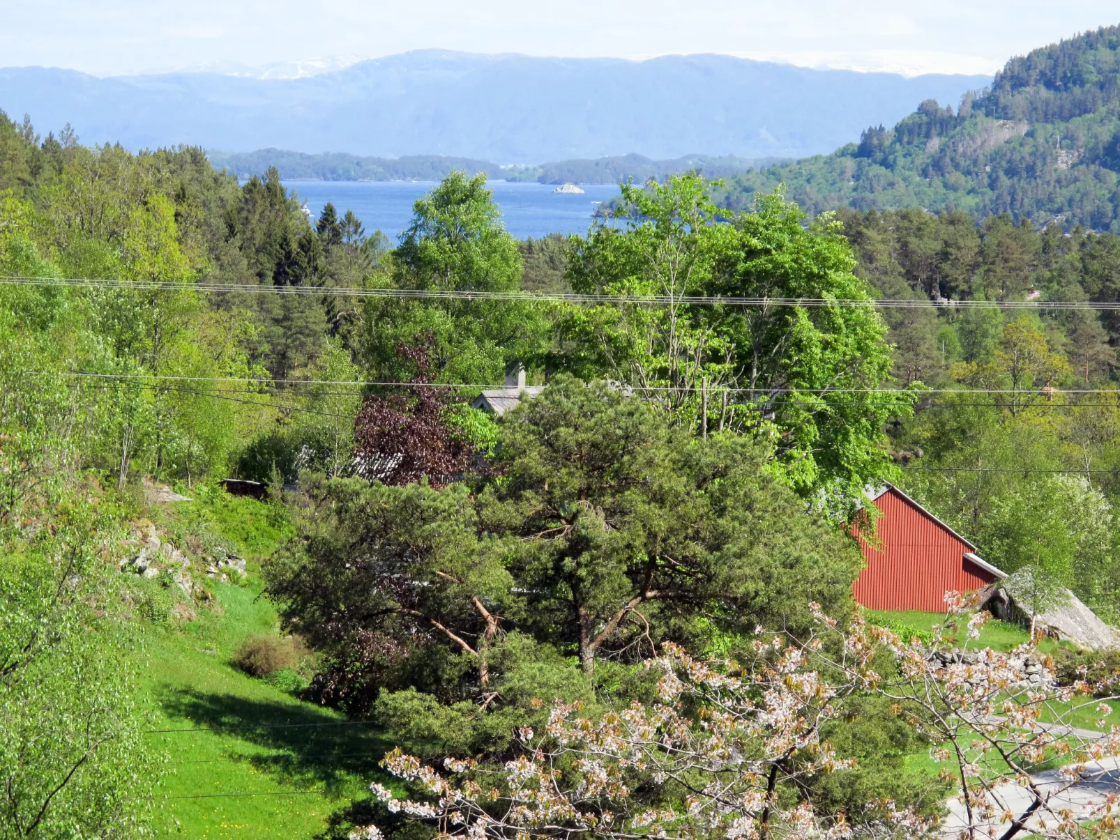 Gule huset-Buiten