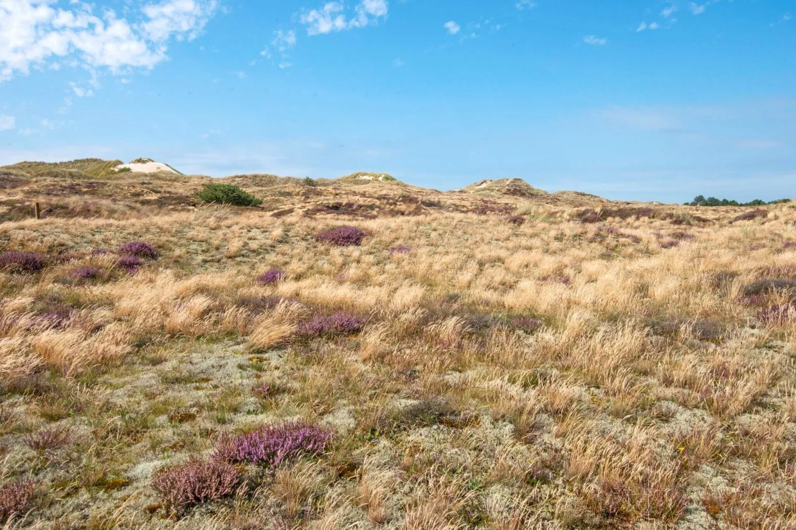 4 persoons vakantie huis in Fanø-Uitzicht