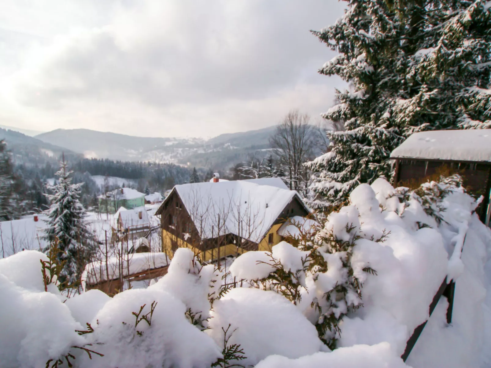 Albrechtice-Buiten