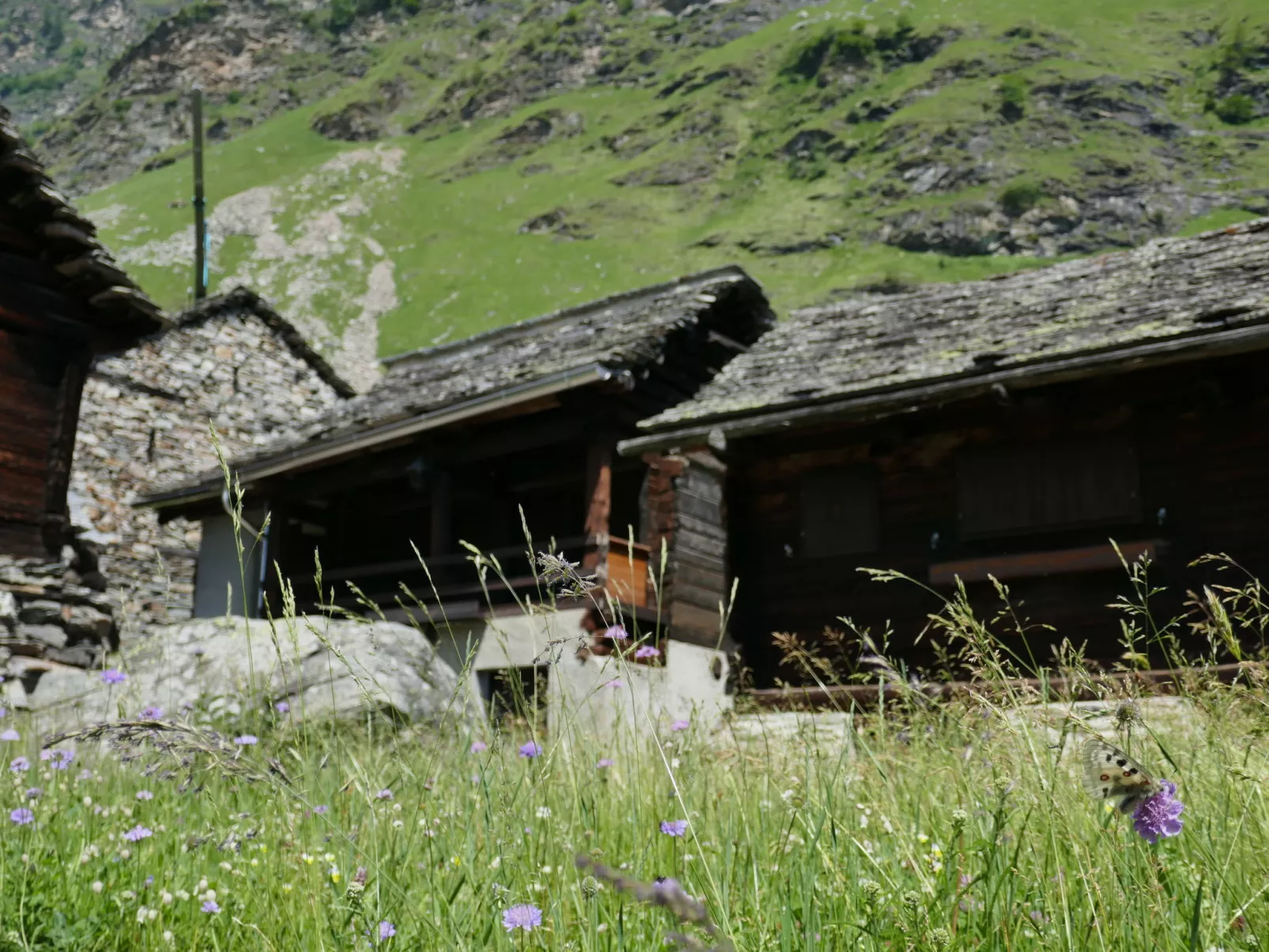 Rustico Casa Fortuna-Buiten