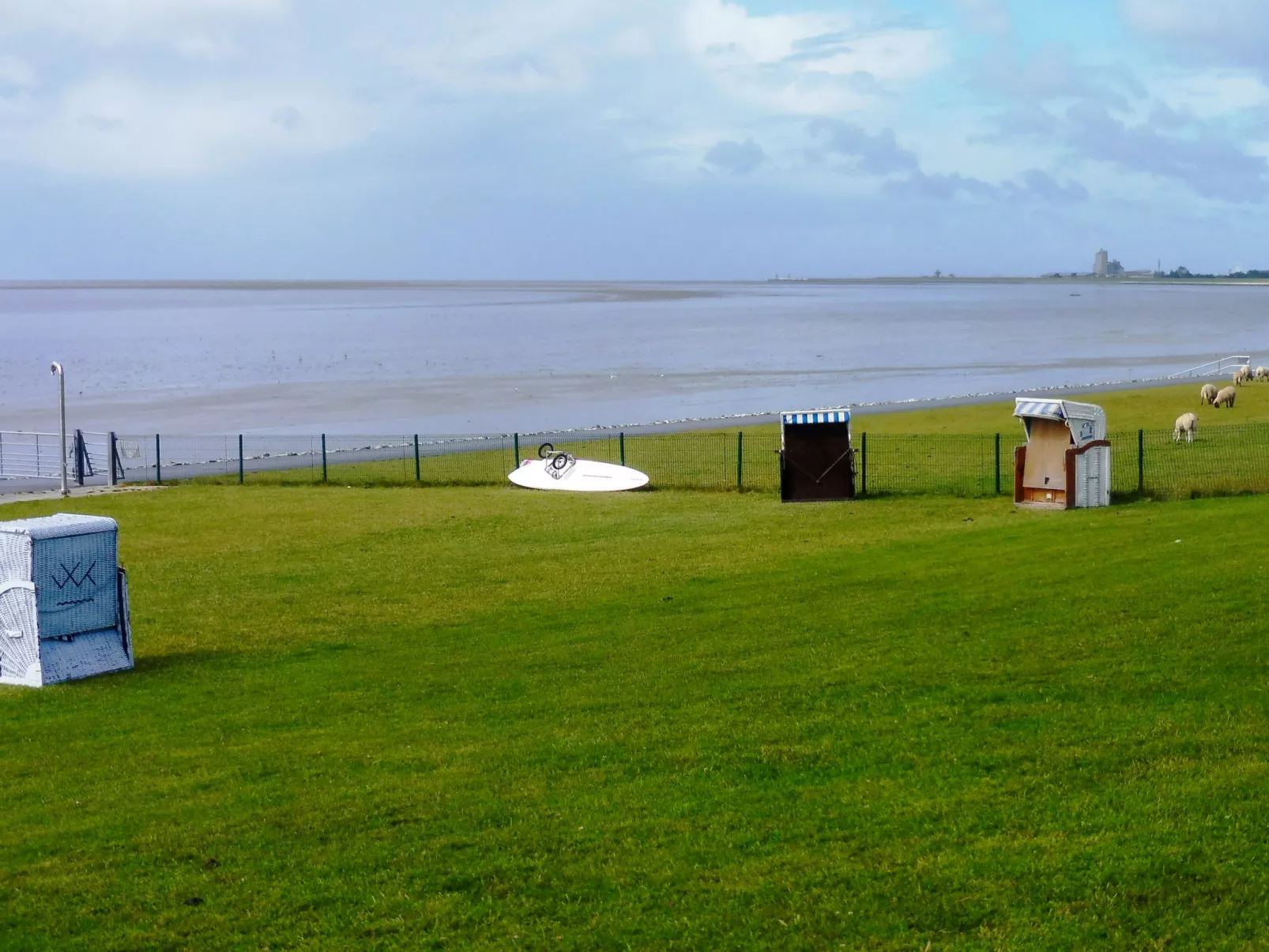 Strandläufer-Buiten