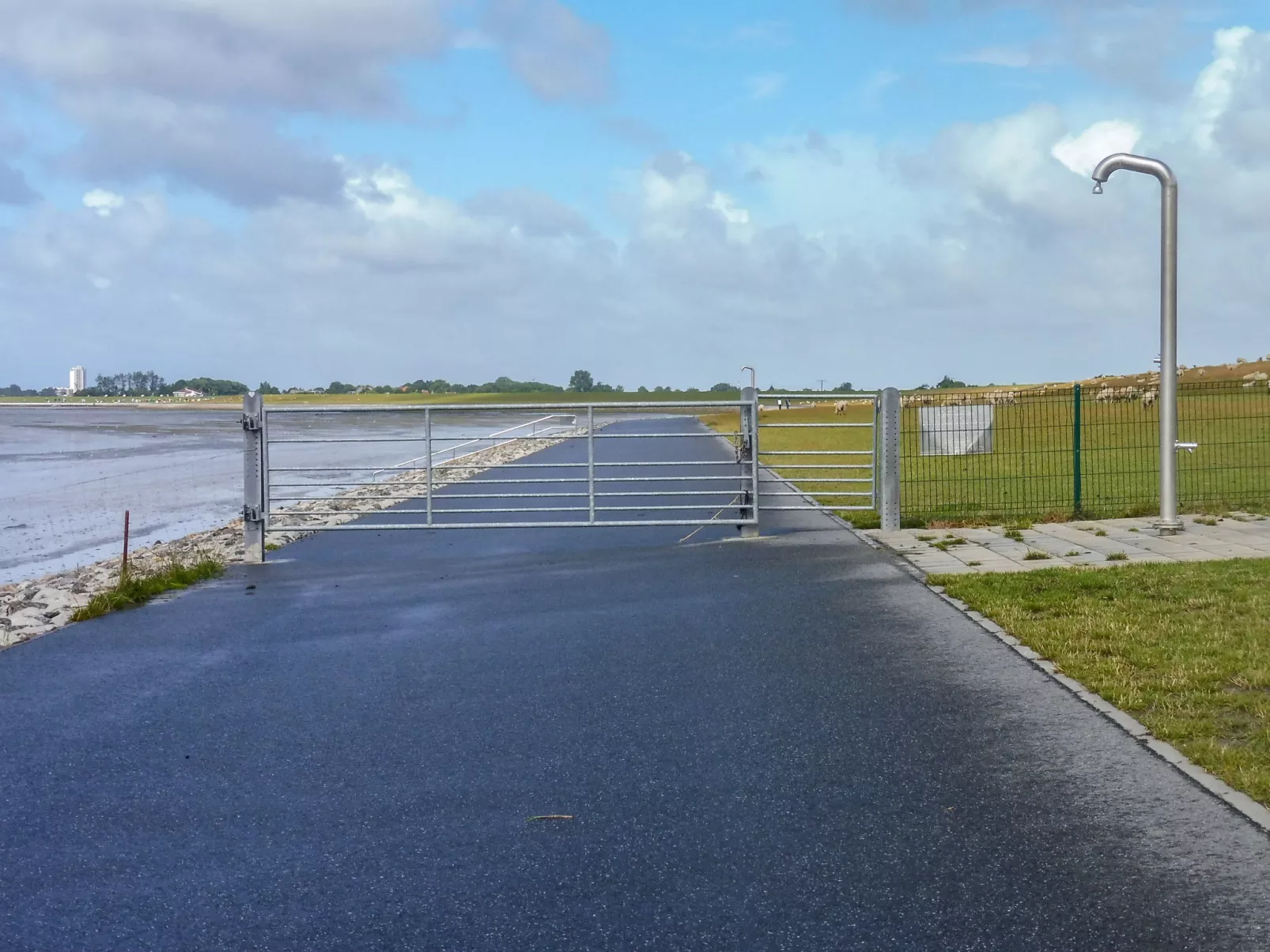 Strandläufer-Buiten