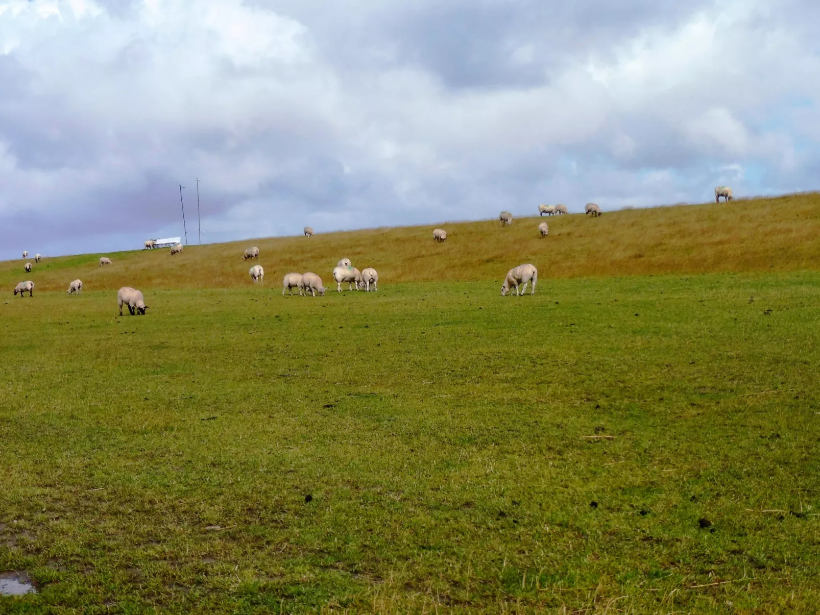 Sturm-Buiten