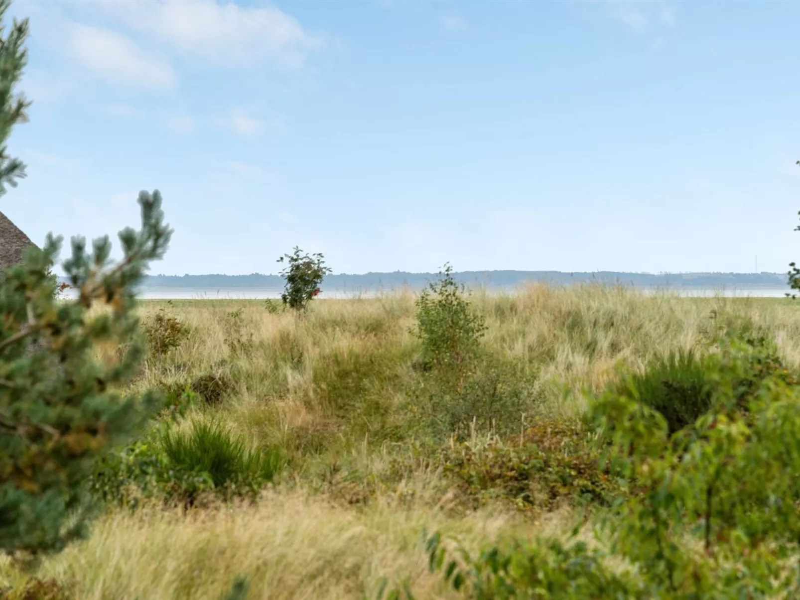 "Merta"-Buiten