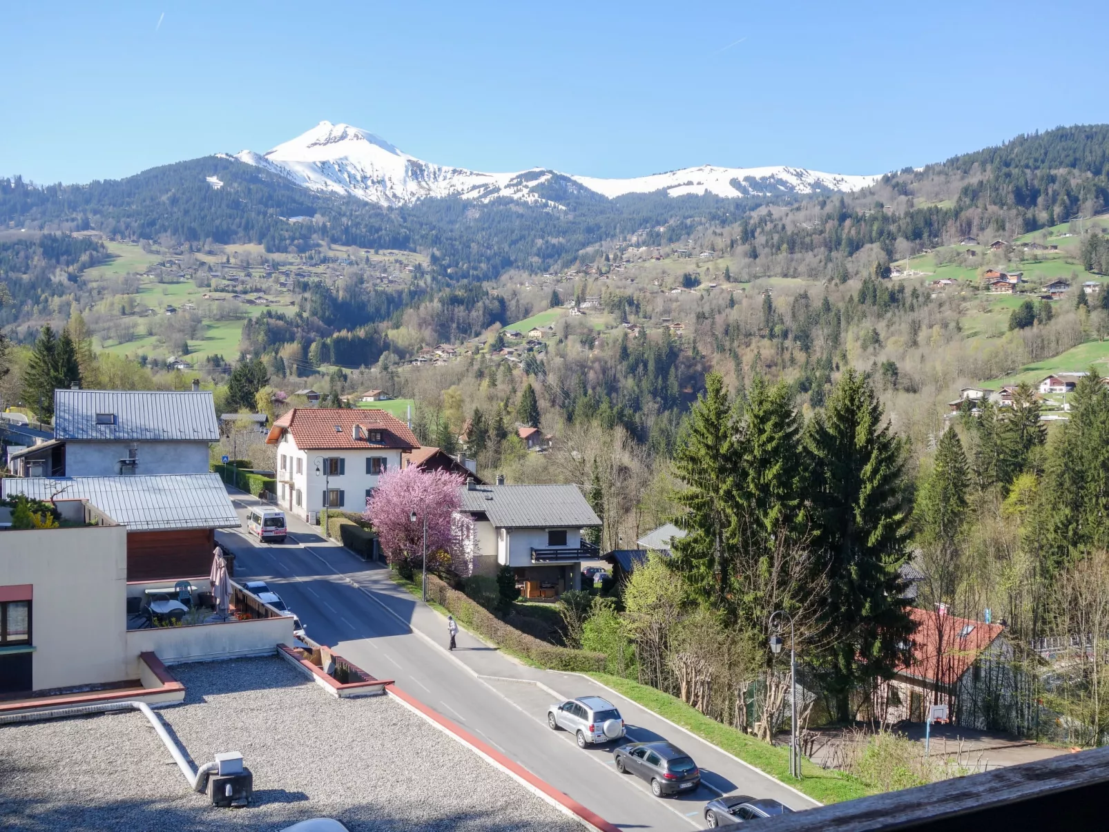 Fleurs des Alpes-Buiten