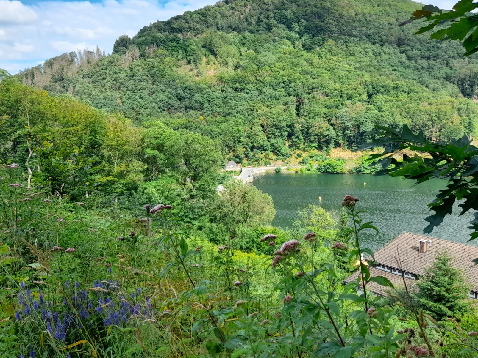 Neles Kate am Diemelsee-Buiten