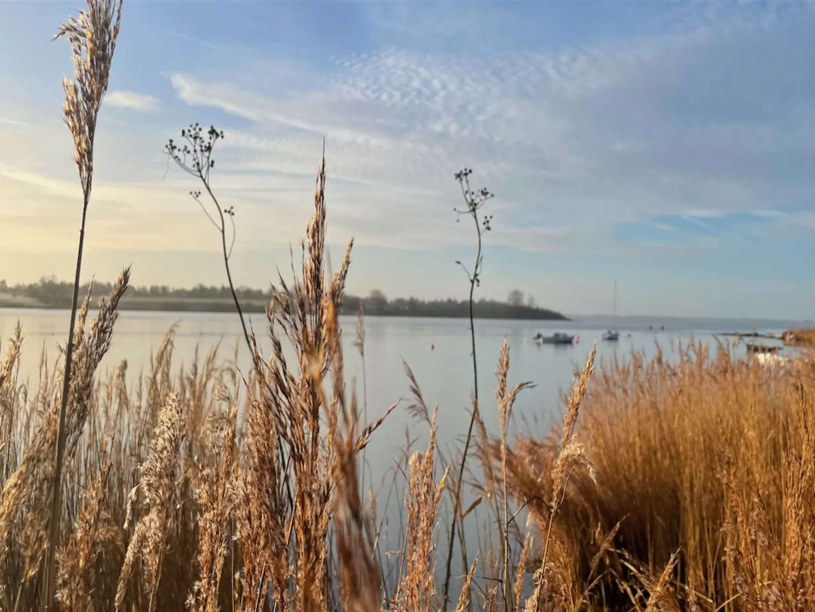 "Frithgæst" - 100m to the inlet-Buiten