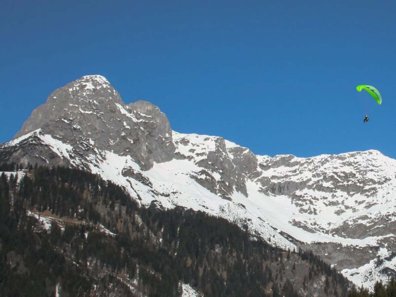 Edelweiss-Buiten