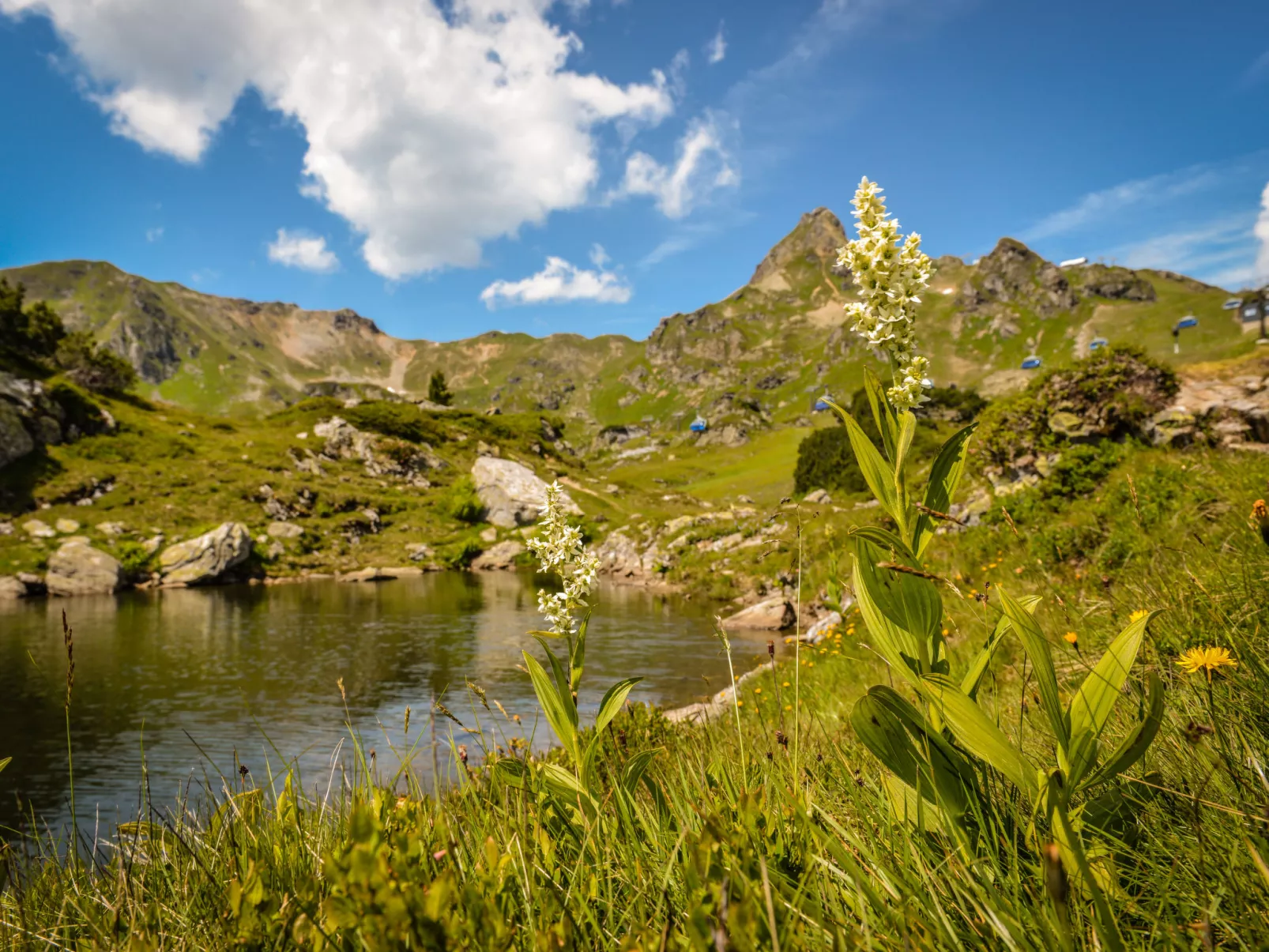 Steindlwald-Buiten