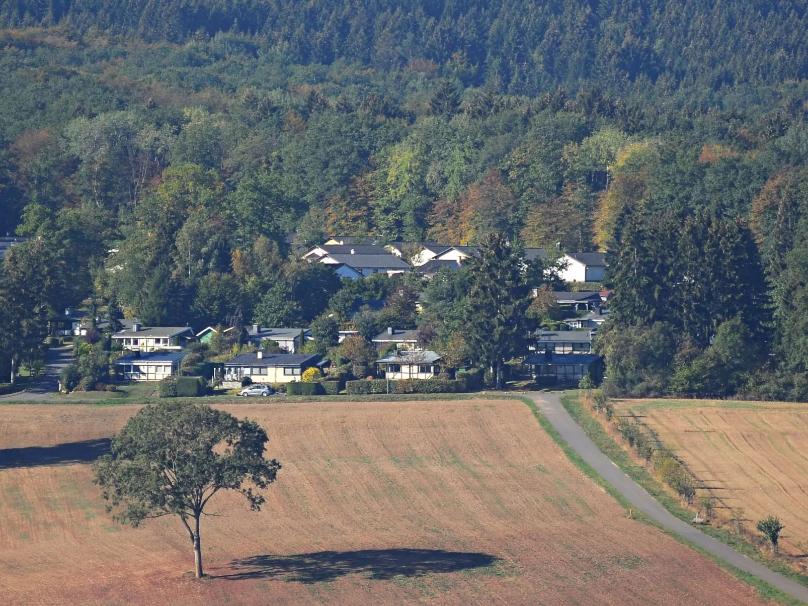 Holzchalet E-Buiten