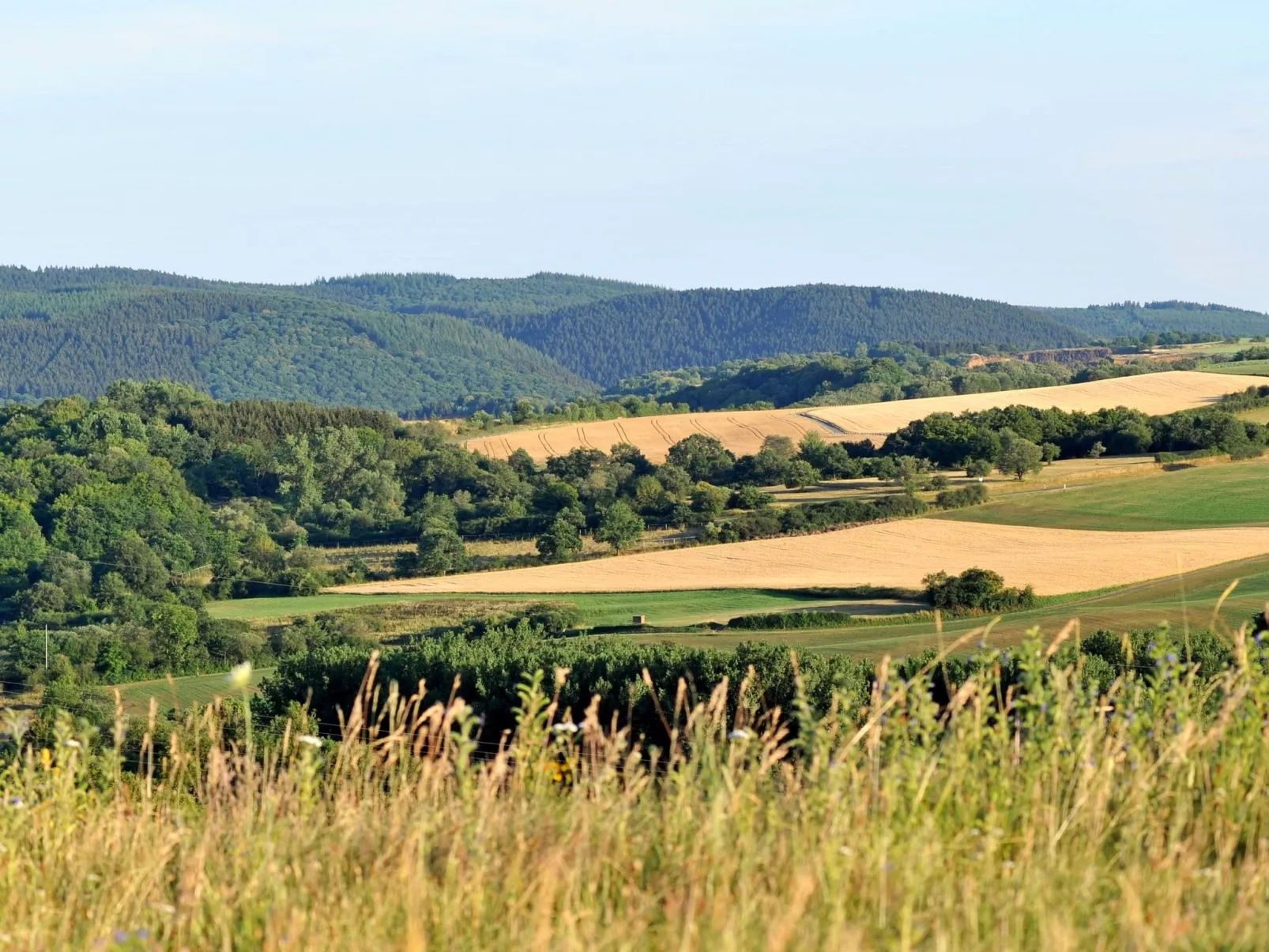 Holzchalet E-Buiten