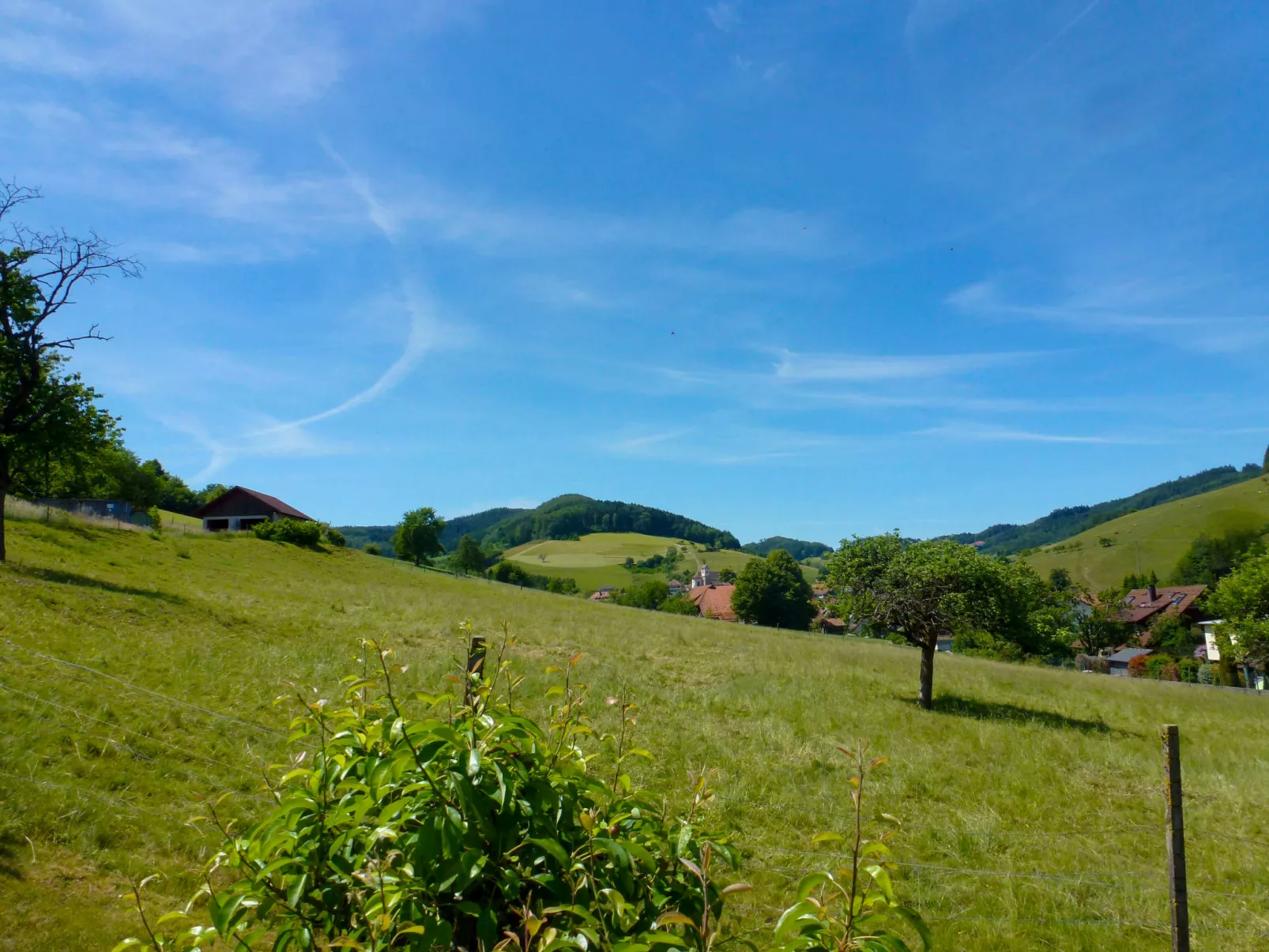 Pension Himmelsbach-Buiten