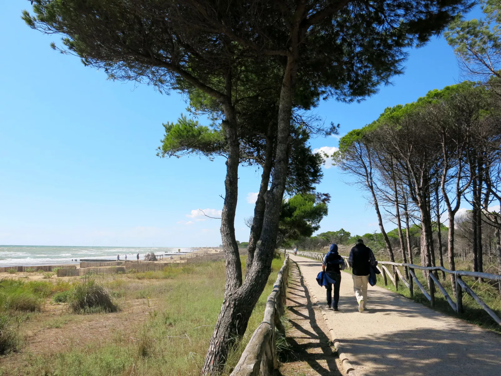 Torcello-Omgeving