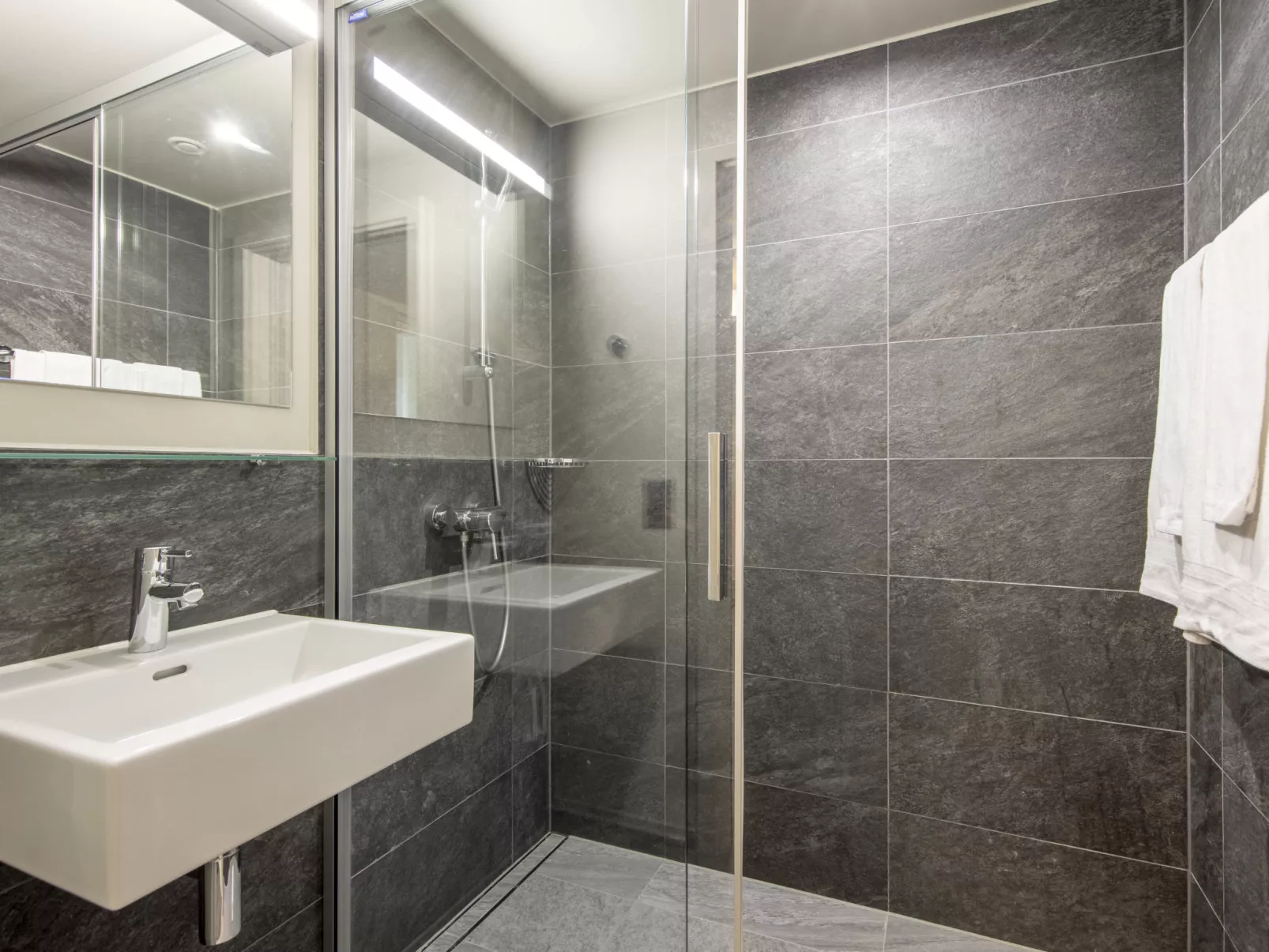 SWISSPEAK Resorts Meiringen-Binnen