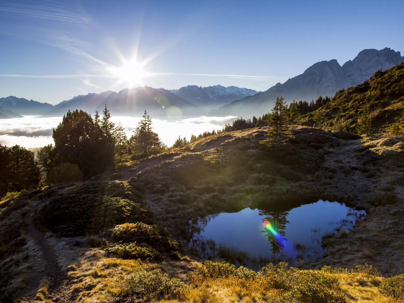 SWISSPEAK Resorts Reichenbach Falls-Omgeving