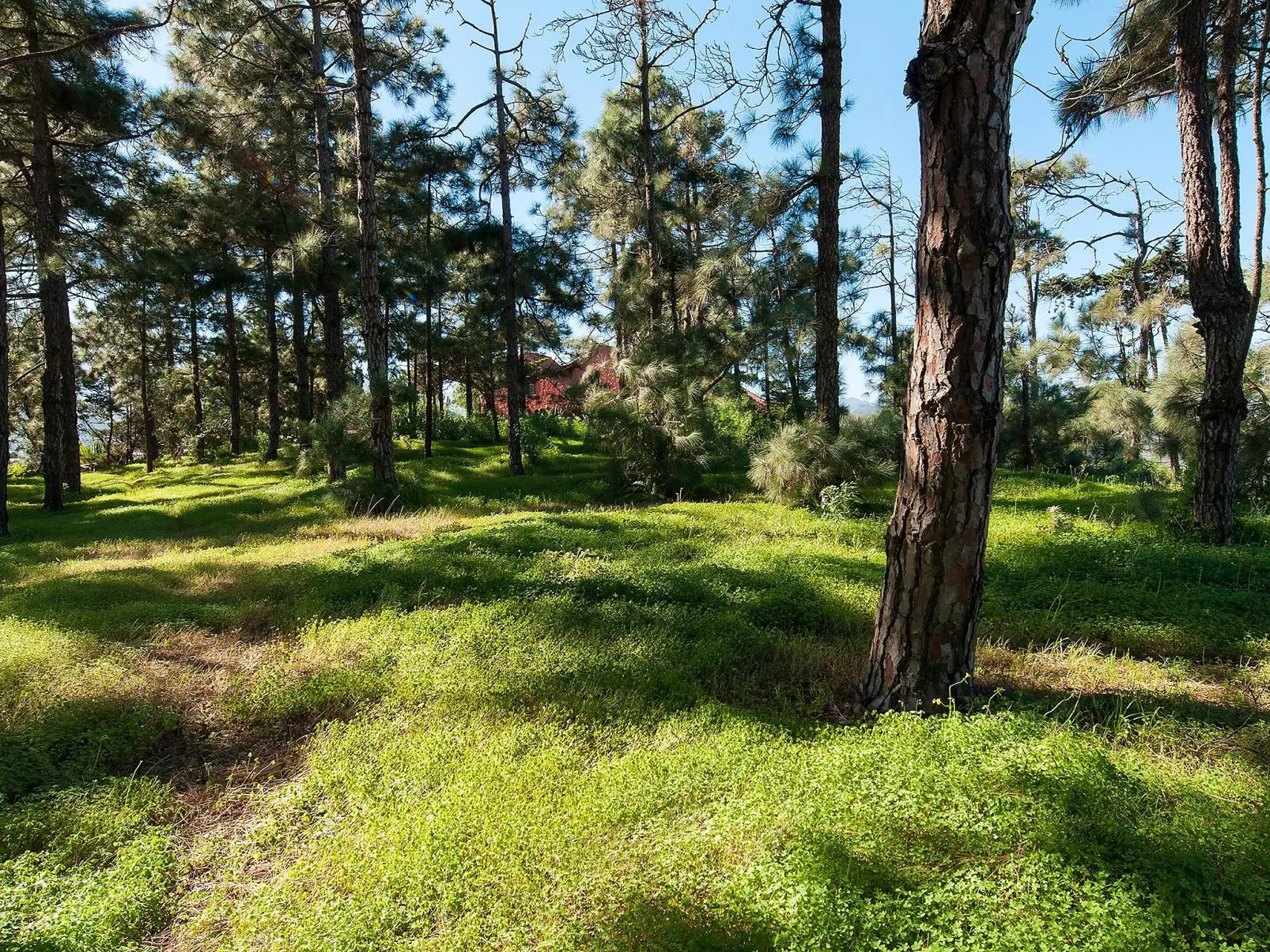 Villa in Bandama-Binnen