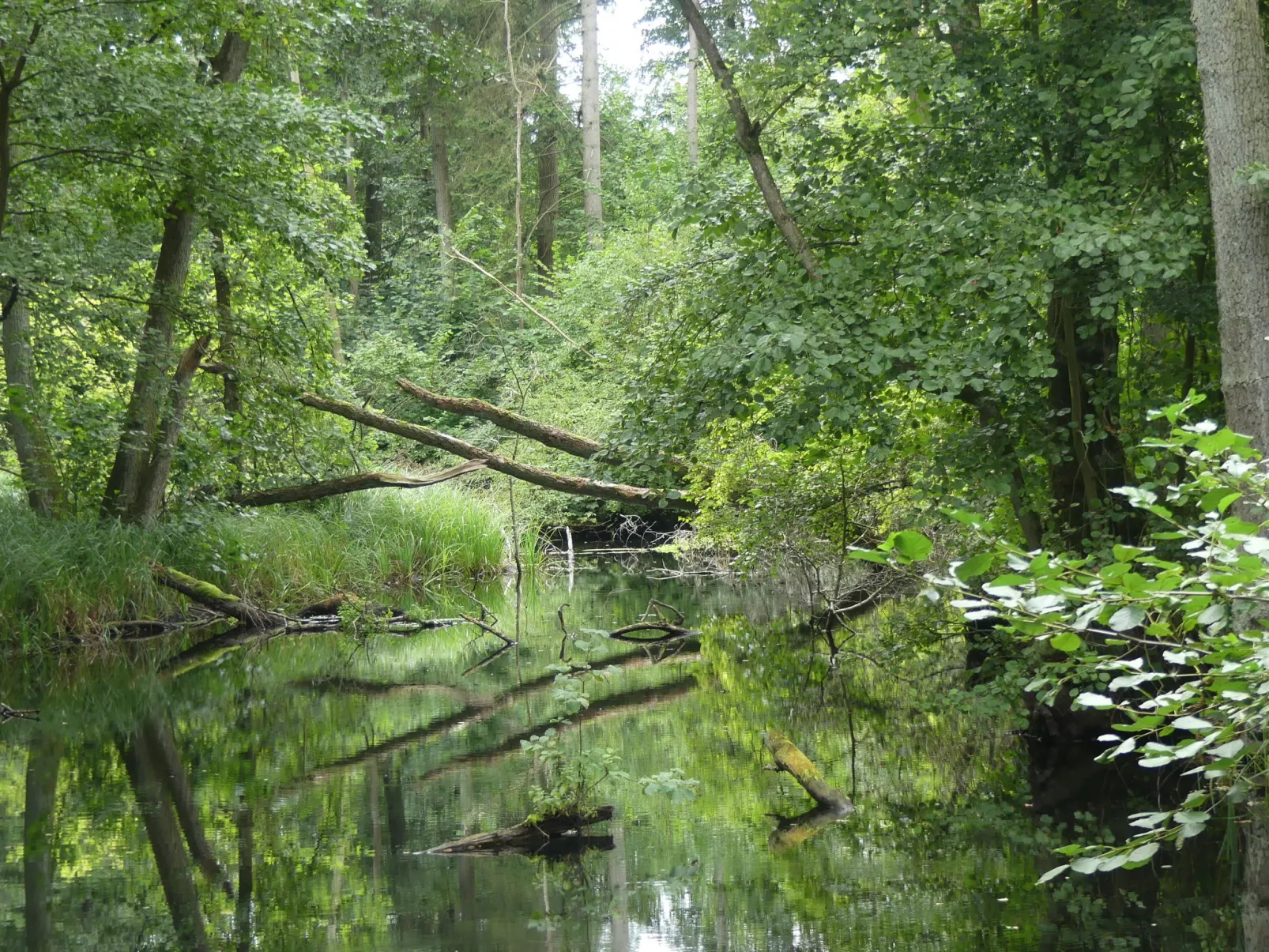 Landhaus Inselsee-Omgeving