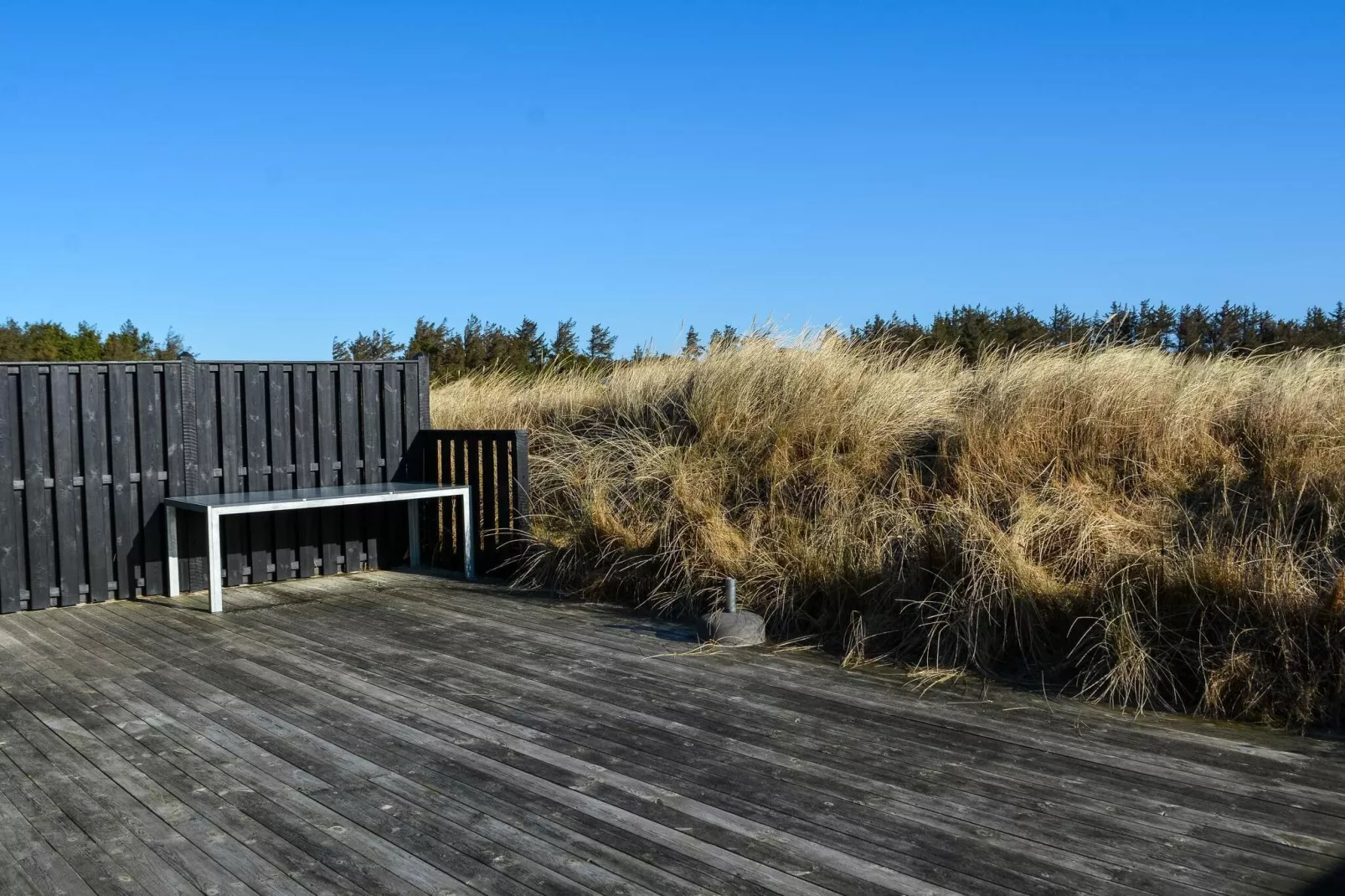 Strandplezier bij Saltum Strand-By Traum-Uitzicht