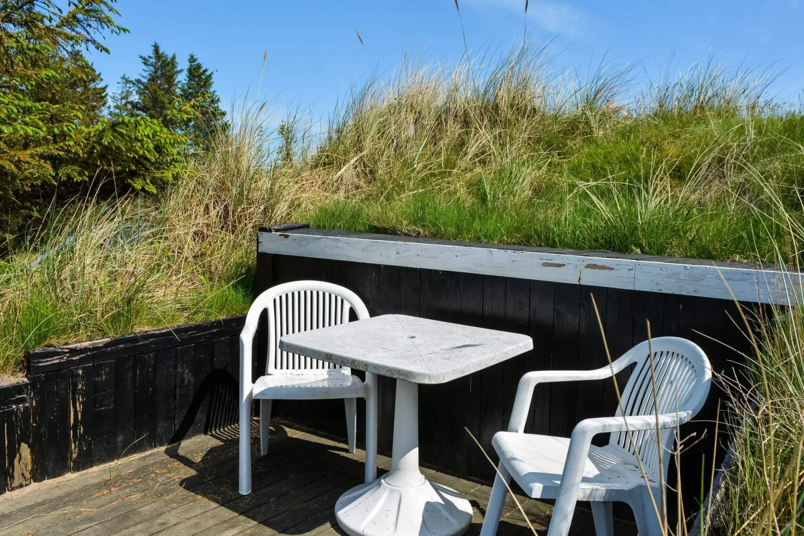 5 sterren vakantie huis in Blokhus