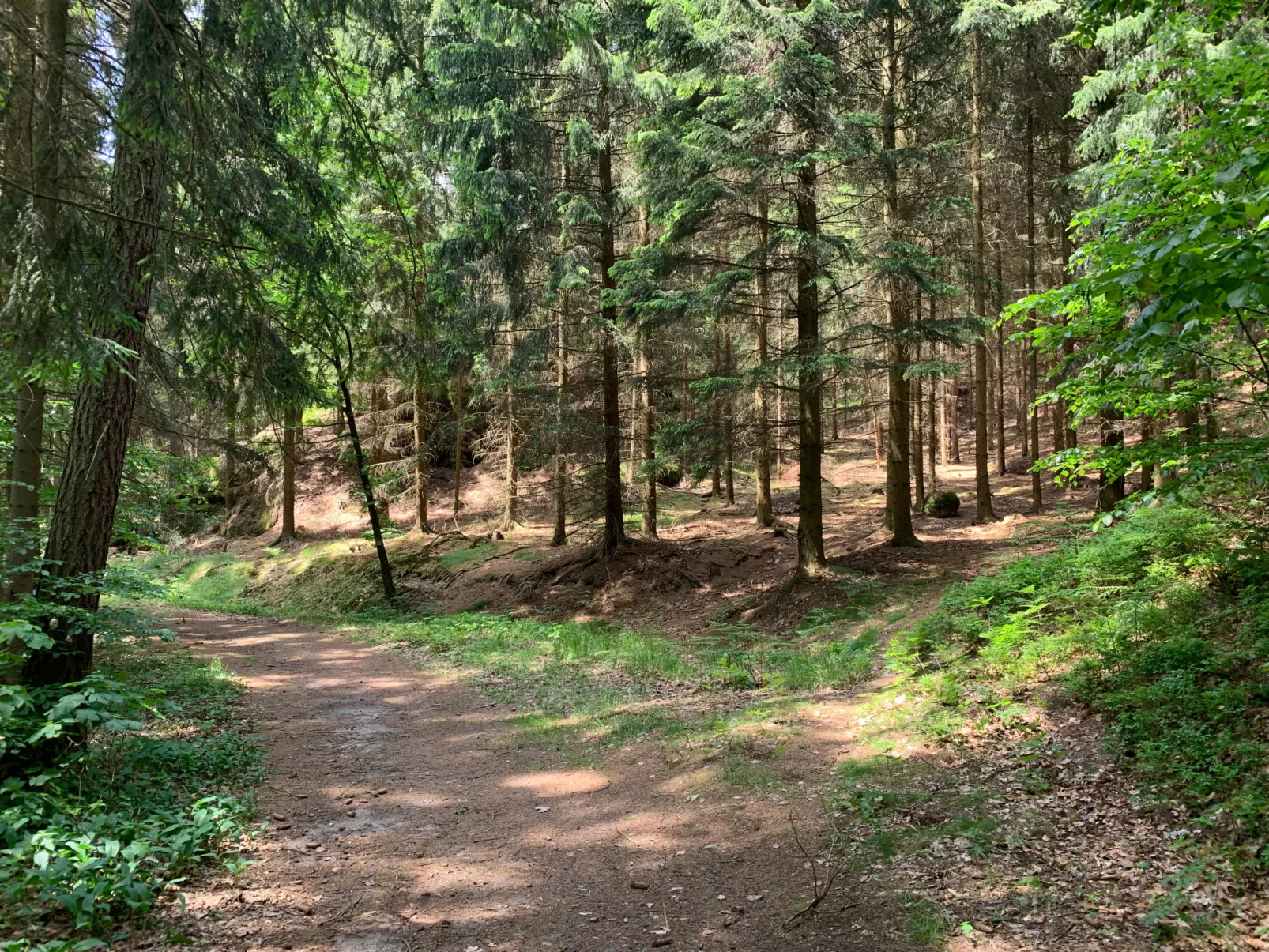 Jeschkenpanorama-Omgeving