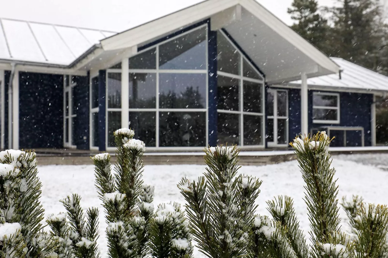 Luxe Spa-toevluchtsoord in Blokhus-By Traum-Uitzicht