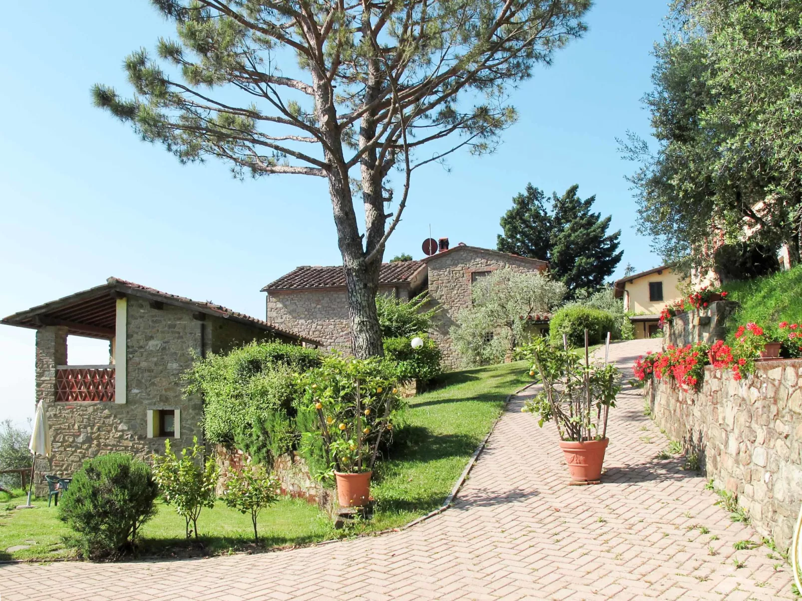 La Cupola: Lavanda