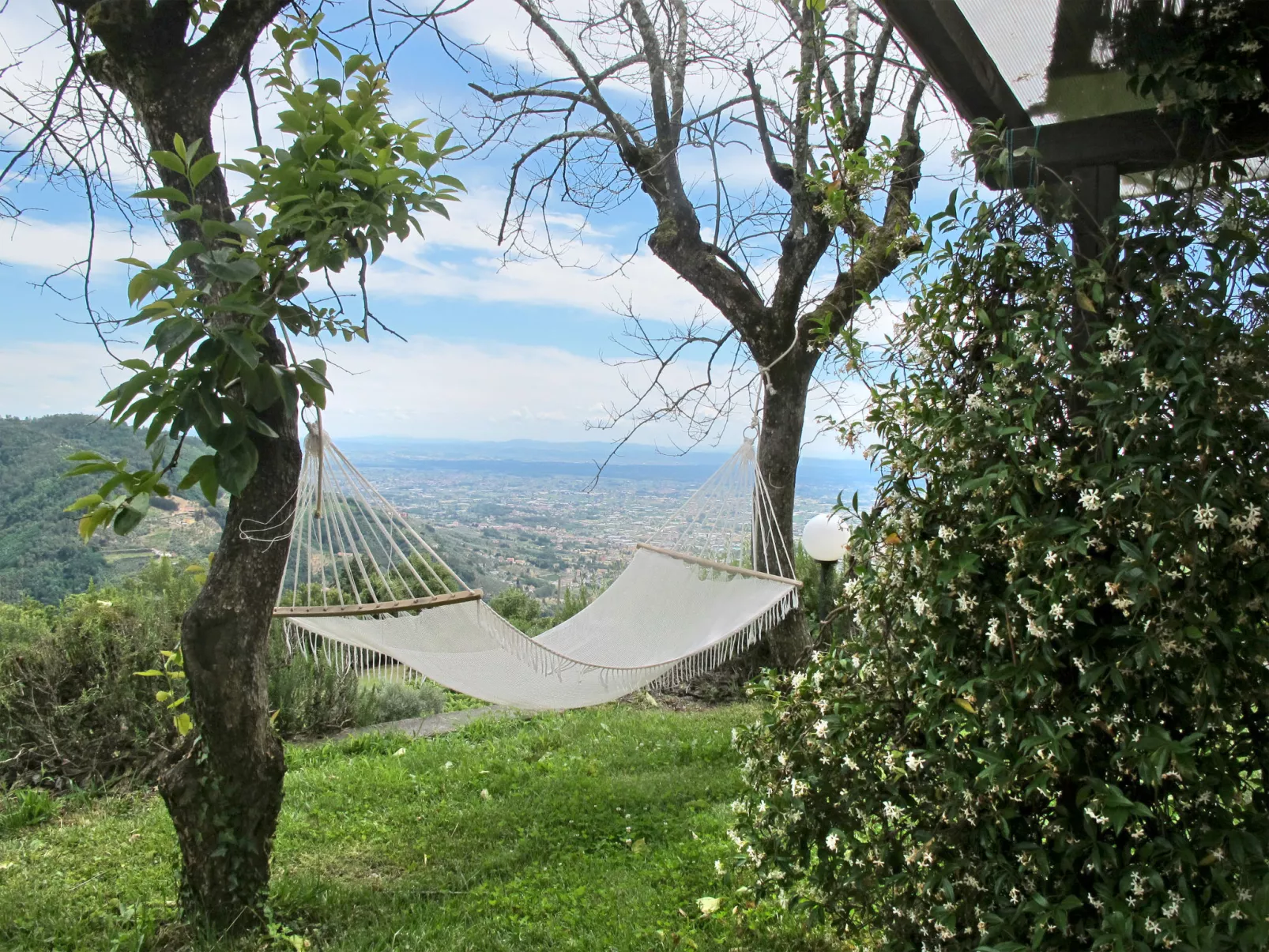 La Cupola: Tulipano-Buiten