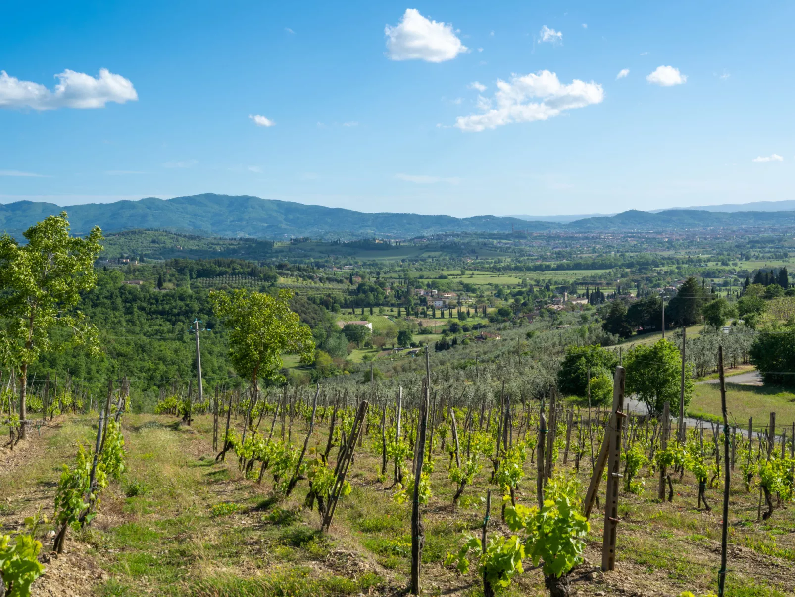 Podere Il Castello-Buiten