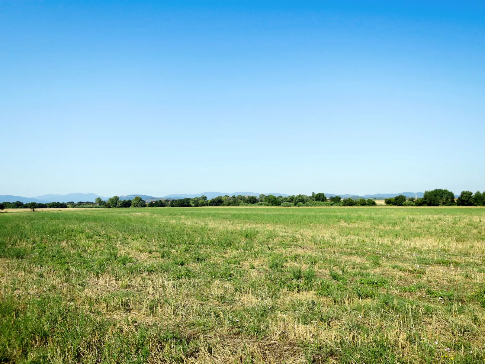 Ovest-Buiten