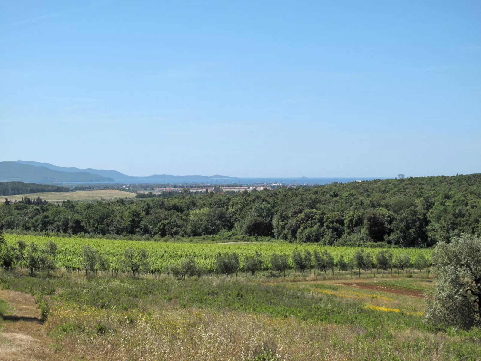 Campo Fiorito-Buiten