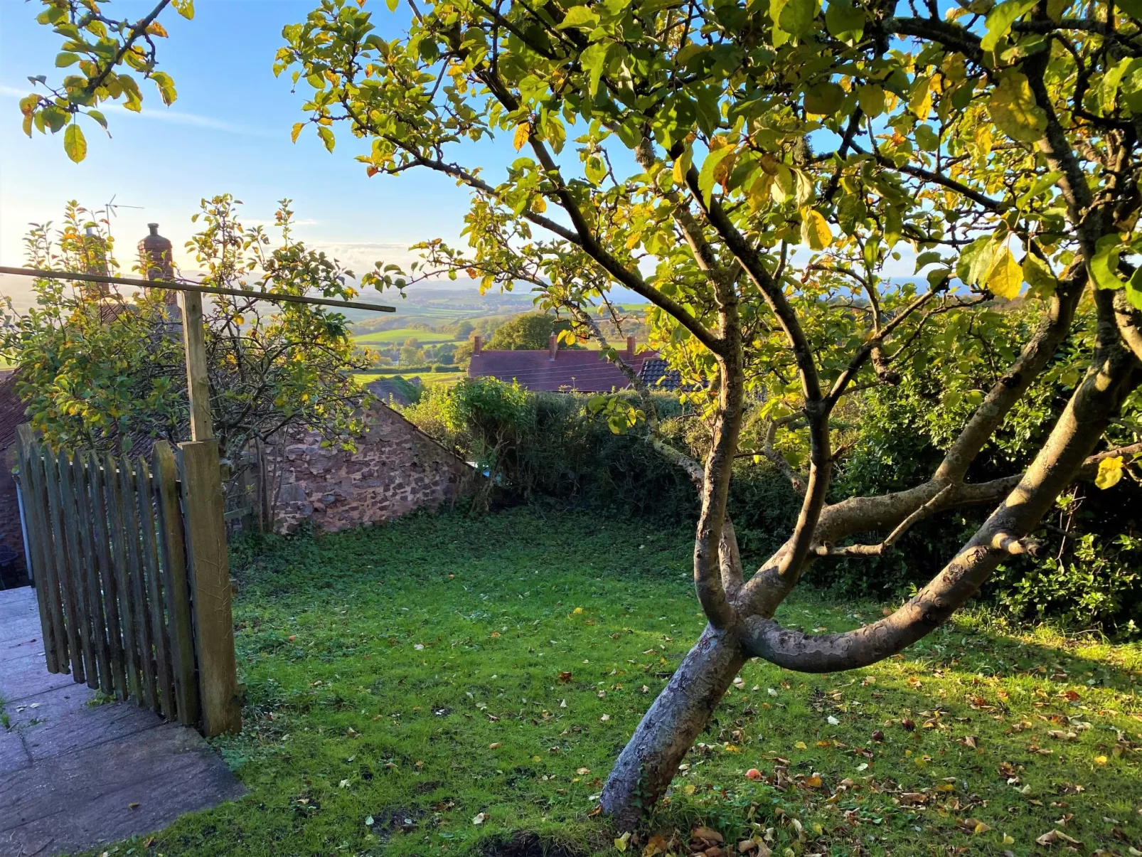 Moonfleat Cottage-Buiten