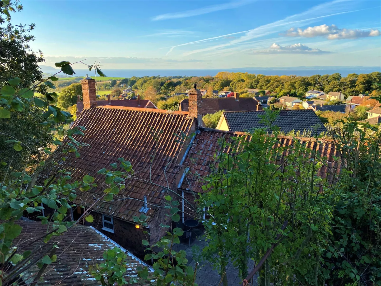 Moonfleat Cottage-Buiten