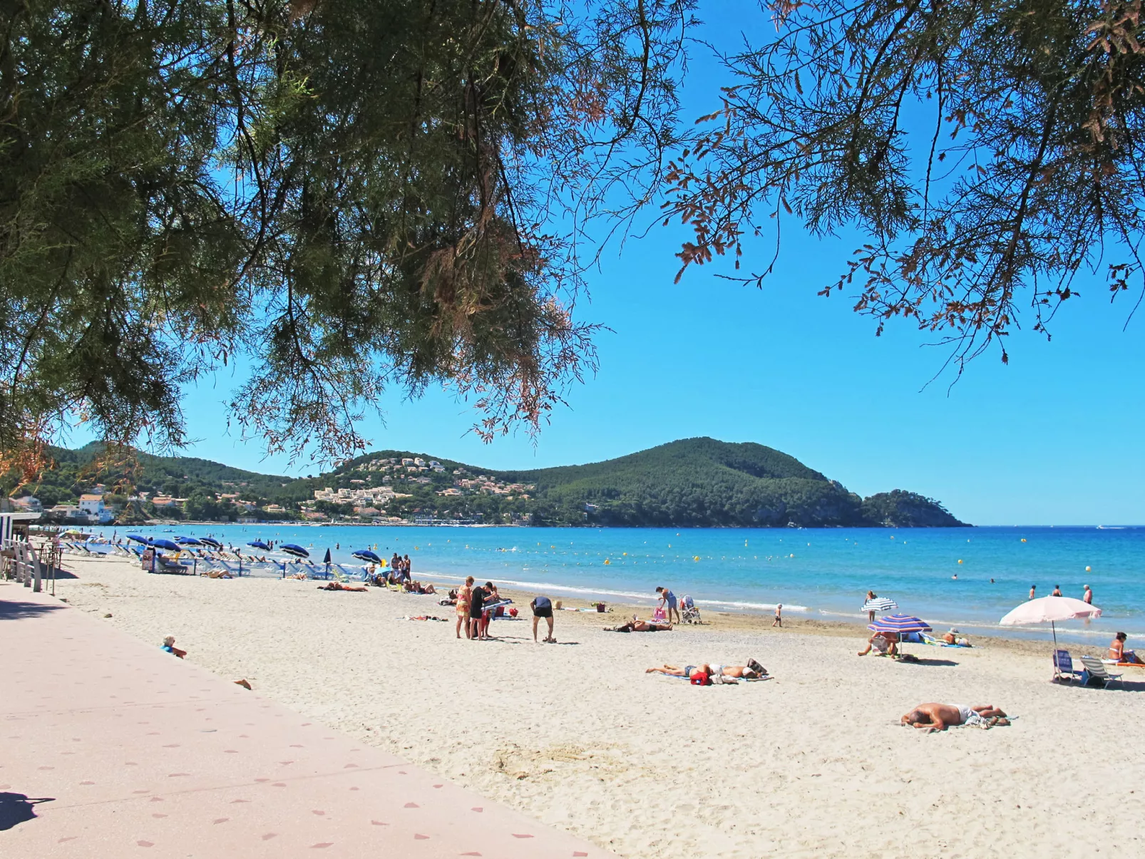 Garden Beach-Omgeving