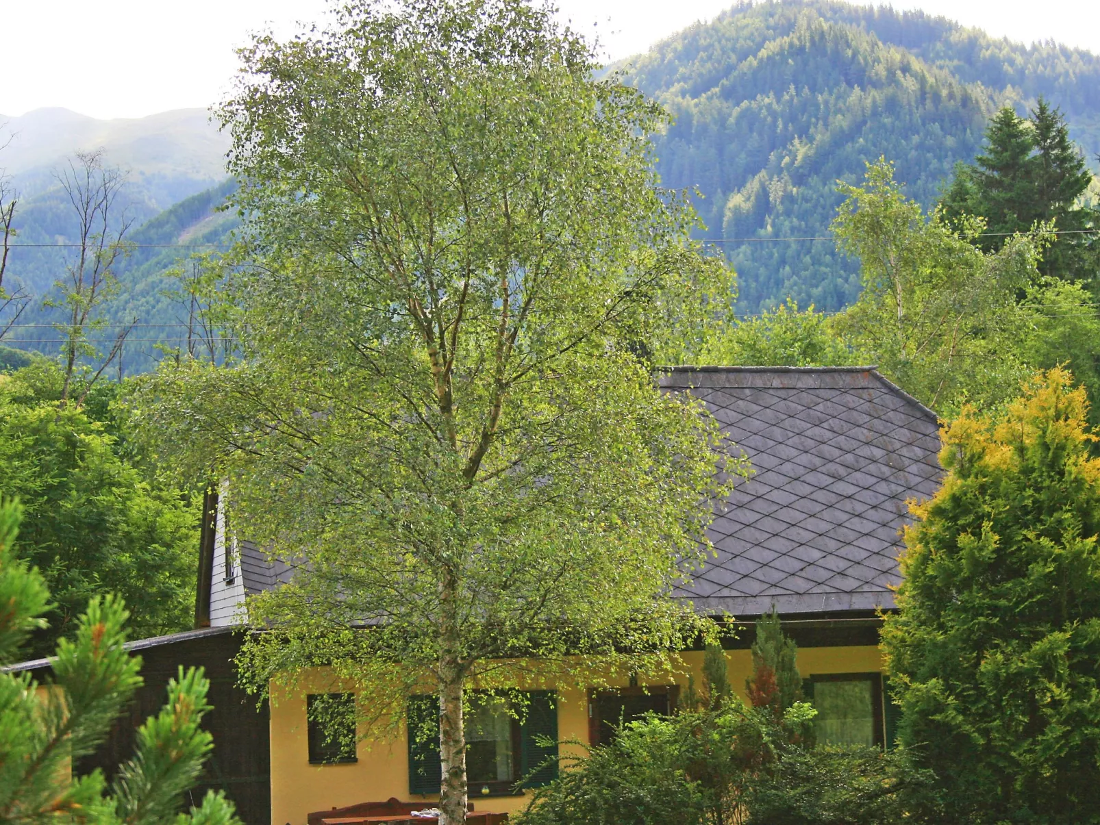 Richter-Buiten