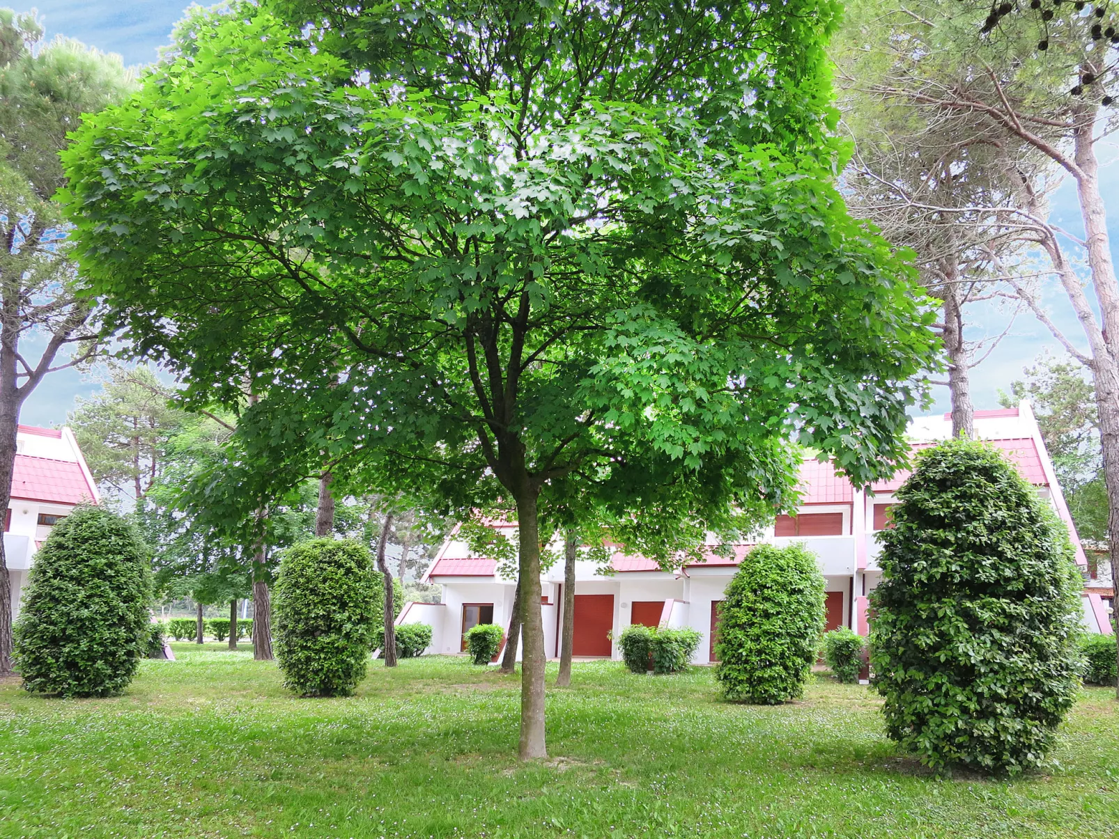 Villaggio Marina-Buiten