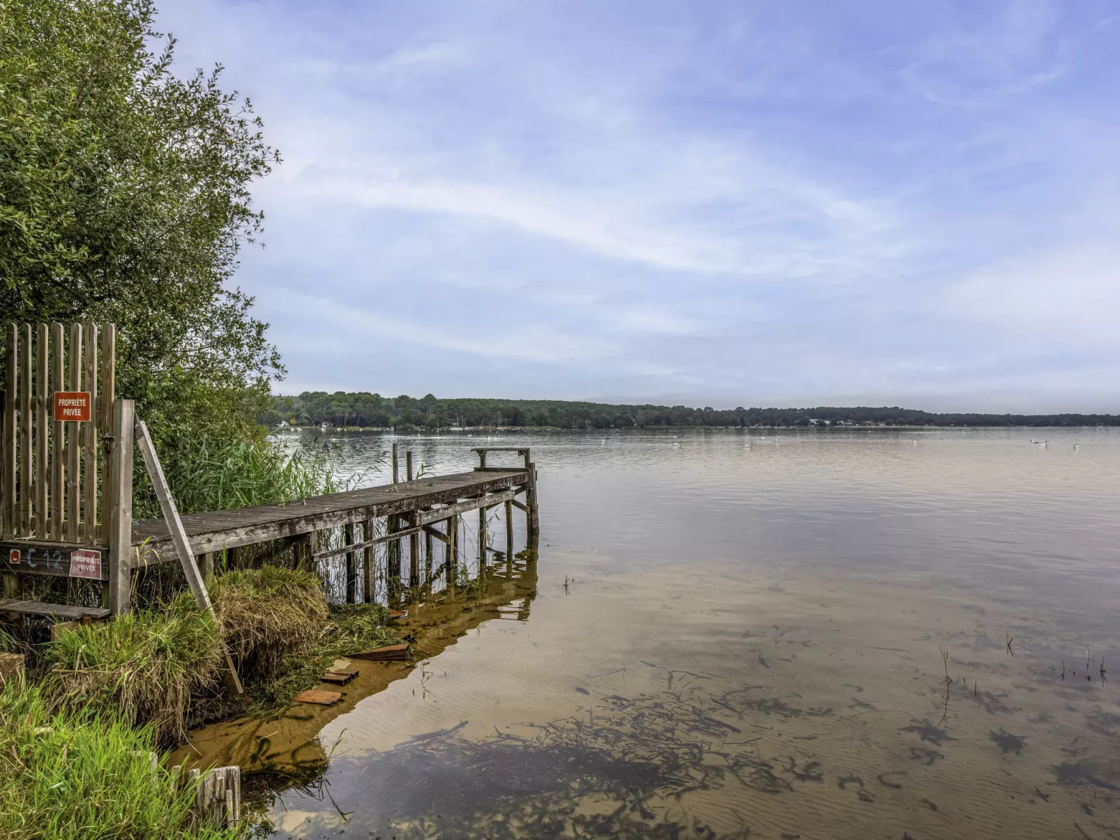 Cottage Etoile de mer-Buiten