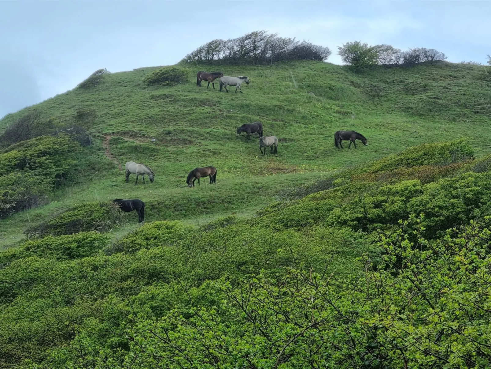 "Miona" - 725m from the sea-Buiten