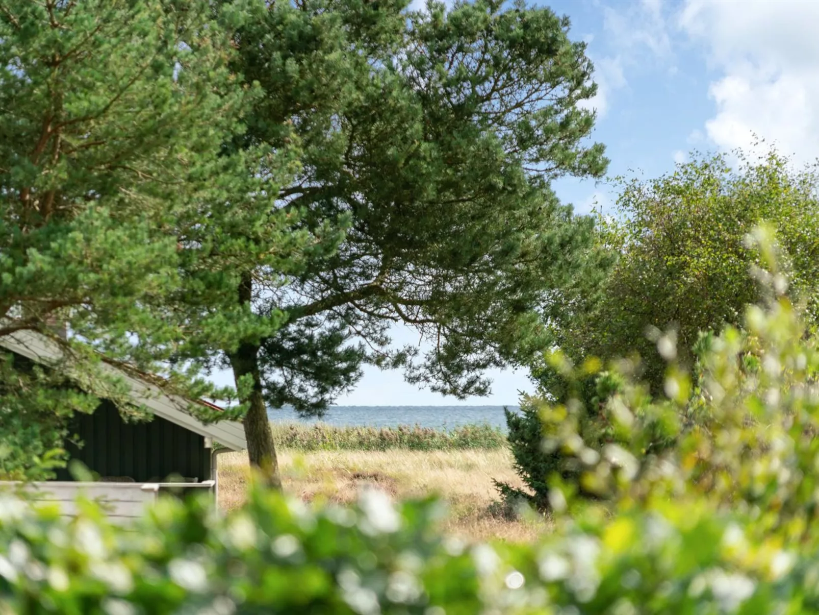 "Elevira" - 200m from the sea-Buiten