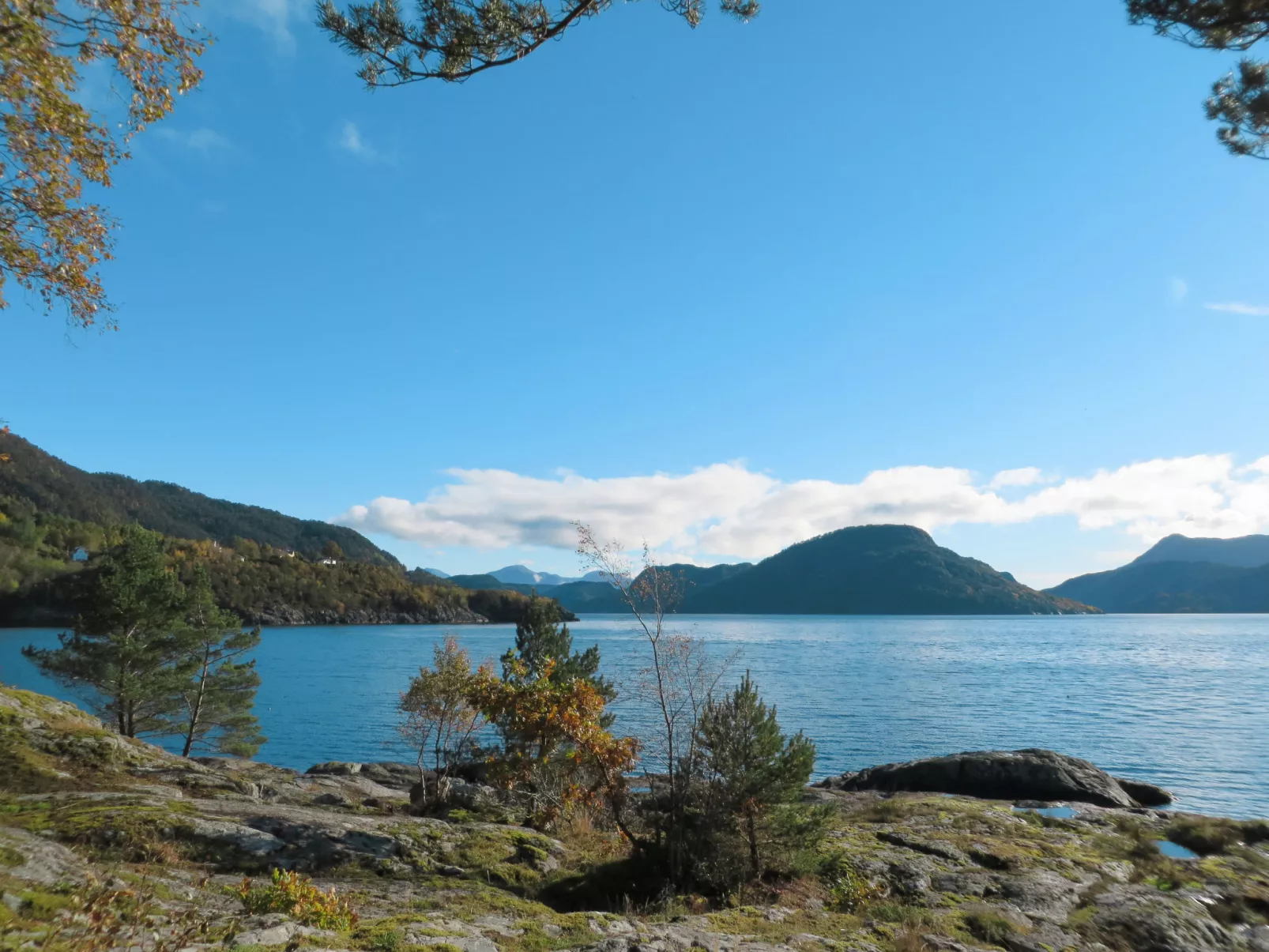 Hjartnesvika-Buiten