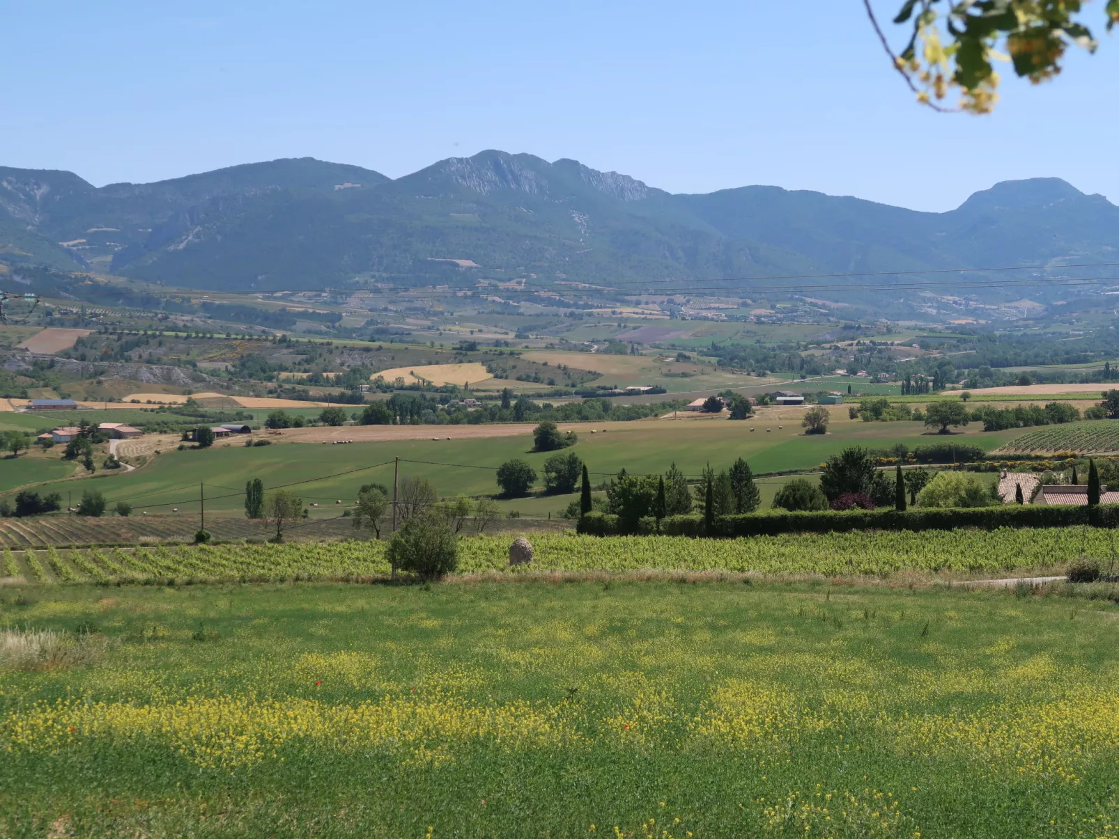 Les Hauts de Jallia-Buiten