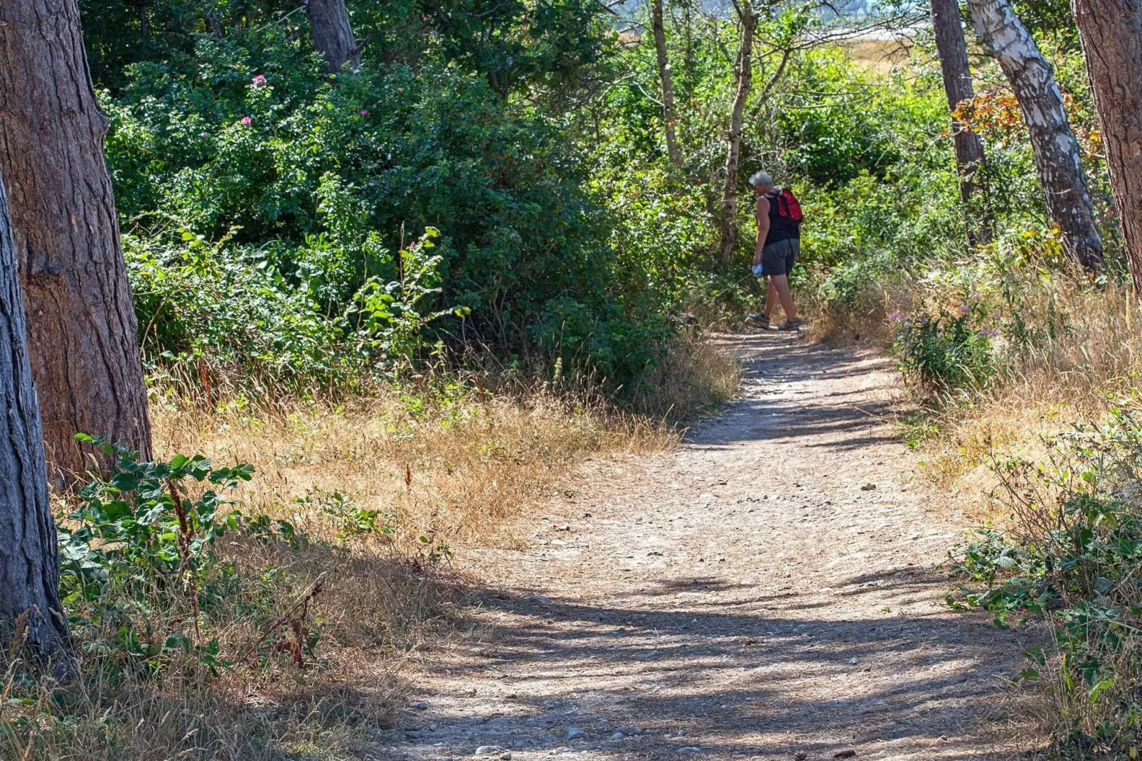 2 persoons vakantie huis op een vakantie park in Gilleleje-Niet-getagd